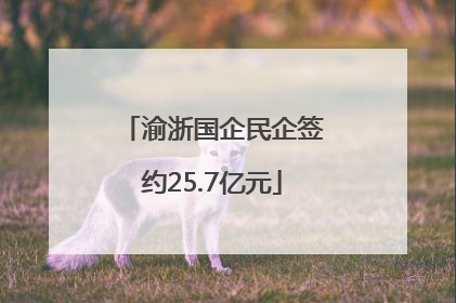 渝浙国企民企签约25.7亿元