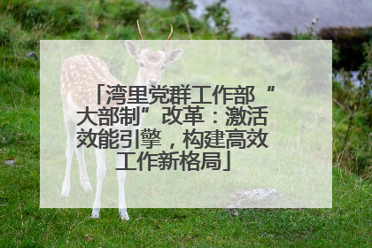 湾里党群工作部“大部制”改革：激活效能引擎，构建高效工作新格局