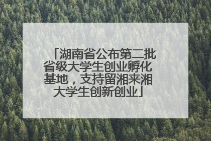 湖南省公布第二批省级大学生创业孵化基地，支持留湘来湘大学生创新创业