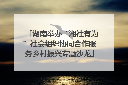 湖南举办“湘社有为”社会组织协同合作服务乡村振兴专题沙龙