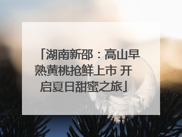 湖南新邵：高山早熟黄桃抢鲜上市 开启夏日甜蜜之旅