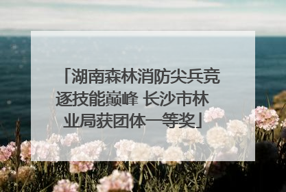 湖南森林消防尖兵竞逐技能巅峰 长沙市林业局获团体一等奖