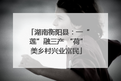 湖南衡阳县：一“莲”融三产 “荷”美乡村兴业富民