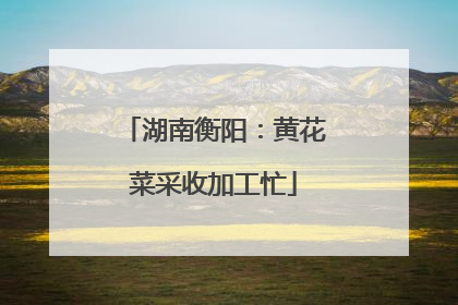 湖南衡阳：黄花菜采收加工忙