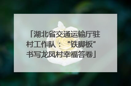 湖北省交通运输厅驻村工作队：“铁脚板”书写龙凤村幸福答卷