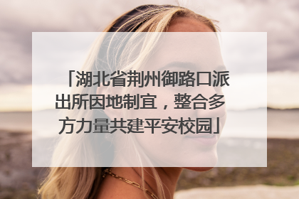 湖北省荆州御路口派出所因地制宜，整合多方力量共建平安校园
