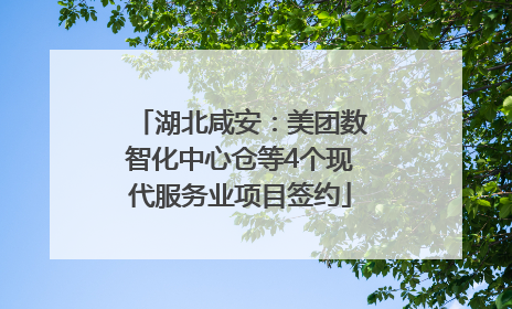 湖北咸安：美团数智化中心仓等4个现代服务业项目签约