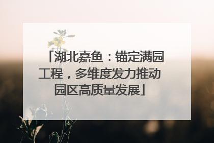 湖北嘉鱼：锚定满园工程，多维度发力推动园区高质量发展