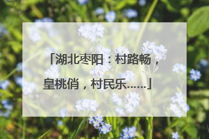 湖北枣阳：村路畅，皇桃俏，村民乐……