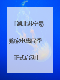 湖北苏宁易购家电惠民季正式启动