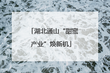 湖北通山“甜蜜产业”焕新机