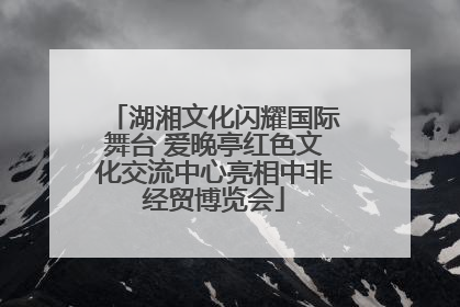 湖湘文化闪耀国际舞台 爱晚亭红色文化交流中心亮相中非经贸博览会