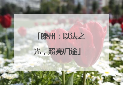 滕州：以法之光，照亮归途