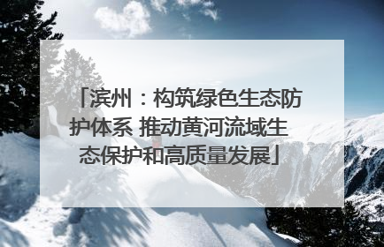 滨州：构筑绿色生态防护体系 推动黄河流域生态保护和高质量发展
