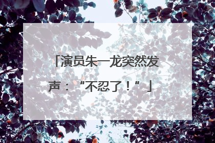 演员朱一龙突然发声：“不忍了！”