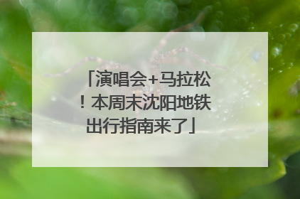 演唱会+马拉松！本周末沈阳地铁出行指南来了