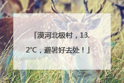 漠河北极村，13.2℃，避暑好去处！