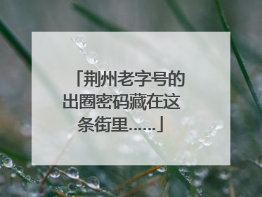 荆州老字号的出圈密码藏在这条街里……
