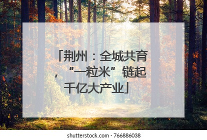 荆州：全城共育，“一粒米”链起千亿大产业