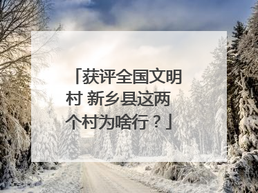 获评全国文明村 新乡县这两个村为啥行？