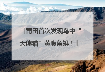 莆田首次发现鸟中“大熊猫”黄腹角雉！