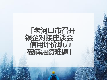 老河口市召开银企对接座谈会 信用评价助力破解融资难题