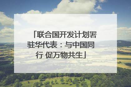 联合国开发计划署驻华代表：与中国同行 促万物共生
