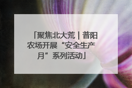 聚焦北大荒｜普阳农场开展“安全生产月”系列活动