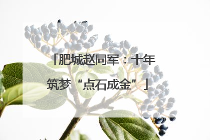 肥城赵同军：十年筑梦“点石成金”