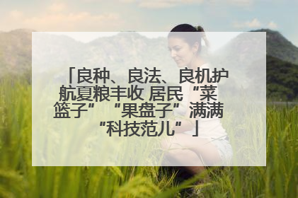 良种、良法、良机护航夏粮丰收 居民“菜篮子”“果盘子”满满“科技范儿”