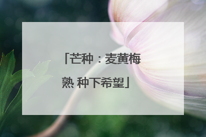 芒种：麦黄梅熟 种下希望