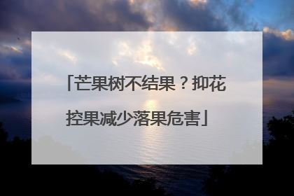 芒果树不结果？抑花控果减少落果危害