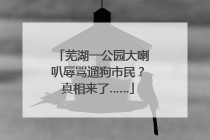 芜湖一公园大喇叭辱骂遛狗市民？真相来了……