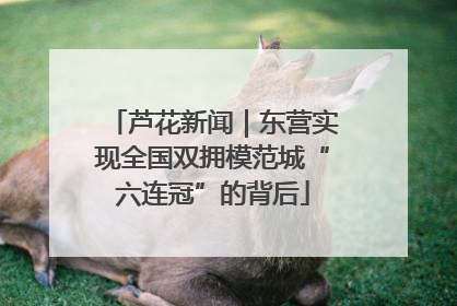 芦花新闻｜东营实现全国双拥模范城“六连冠”的背后
