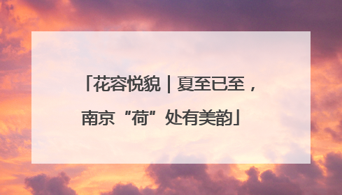 花容悦貌｜夏至已至，南京“荷”处有美韵