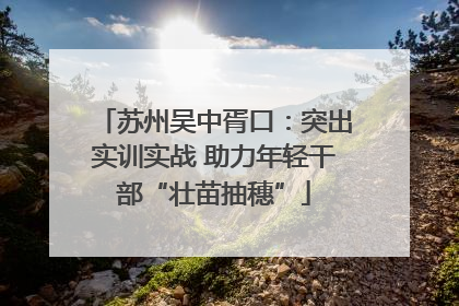苏州吴中胥口：突出实训实战 助力年轻干部“壮苗抽穗”