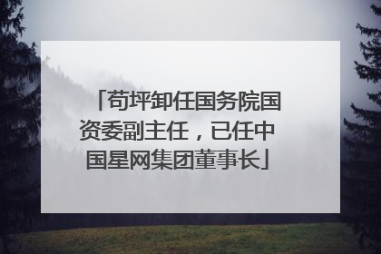 苟坪卸任国务院国资委副主任，已任中国星网集团董事长