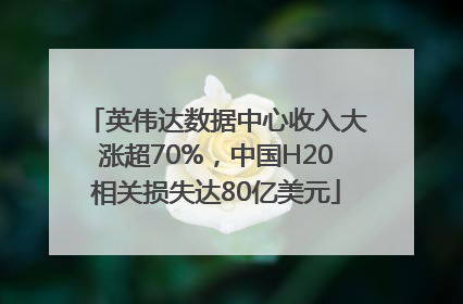 英伟达数据中心收入大涨超70%，中国H20相关损失达80亿美元