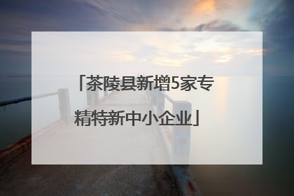 茶陵县新增5家专精特新中小企业