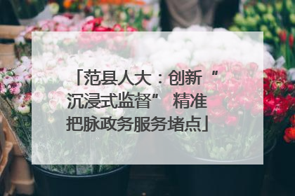 范县人大：创新“沉浸式监督” 精准把脉政务服务堵点