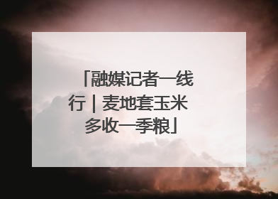 融媒记者一线行｜麦地套玉米 多收一季粮