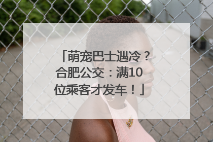 萌宠巴士遇冷？合肥公交：满10位乘客才发车！
