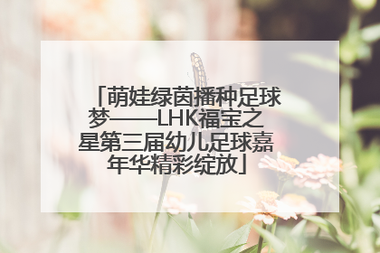 萌娃绿茵播种足球梦——LHK福宝之星第三届幼儿足球嘉年华精彩绽放