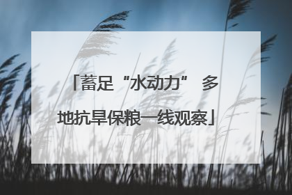 蓄足“水动力” 多地抗旱保粮一线观察