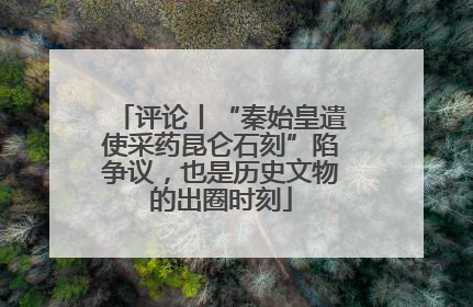 评论丨“秦始皇遣使采药昆仑石刻”陷争议，也是历史文物的出圈时刻