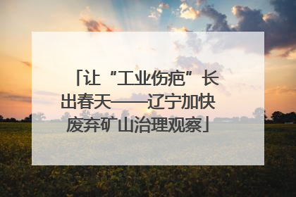 让“工业伤疤”长出春天——辽宁加快废弃矿山治理观察