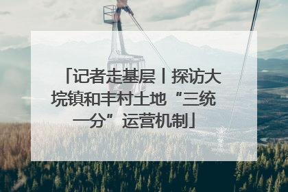 记者走基层丨探访大垸镇和丰村土地“三统一分”运营机制