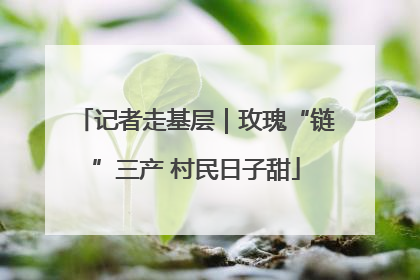 记者走基层｜玫瑰“链”三产 村民日子甜