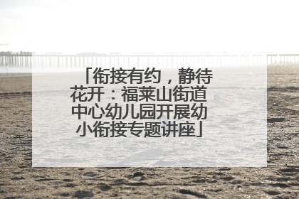 衔接有约，静待花开：福莱山街道中心幼儿园开展幼小衔接专题讲座