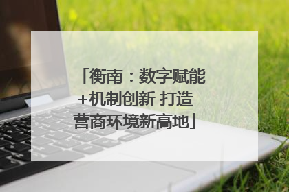 衡南：数字赋能+机制创新 打造营商环境新高地